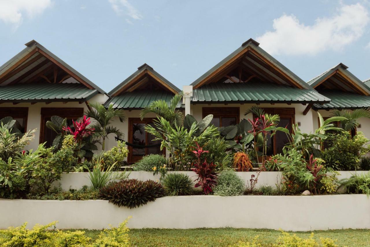 Villas Los Olivos Ayampe Ngoại thất bức ảnh